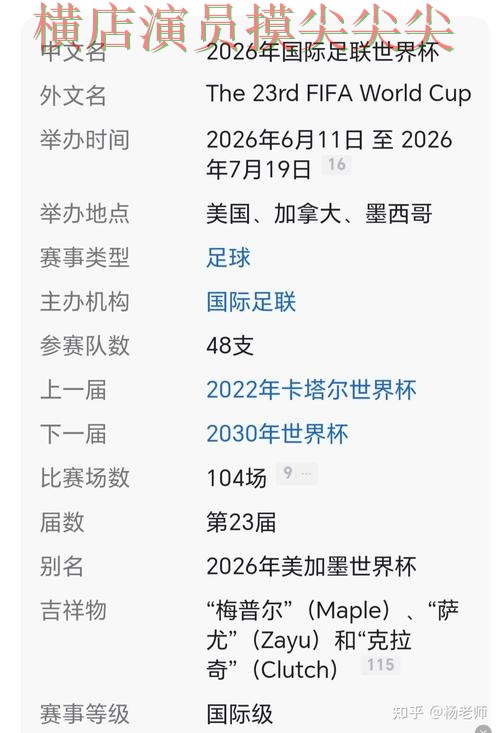 揭秘世界杯买球网站：从官网直达到使用全流程解析 - World Cup 2026