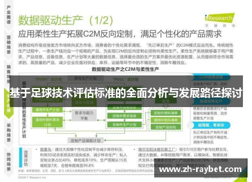 基于足球技术评估标准的全面分析与发展路径探讨