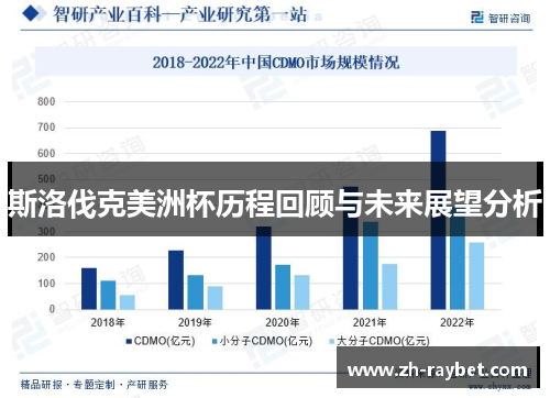 斯洛伐克美洲杯历程回顾与未来展望分析