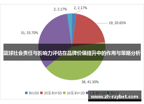 篮球社会责任与影响力评估在品牌价值提升中的作用与策略分析