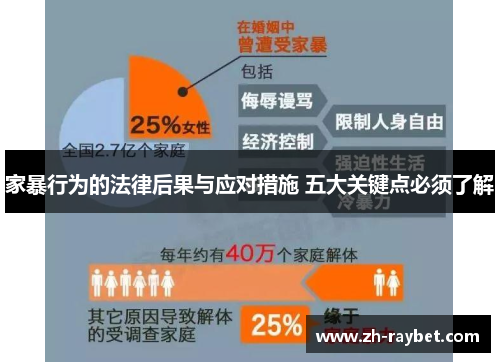 家暴行为的法律后果与应对措施 五大关键点必须了解