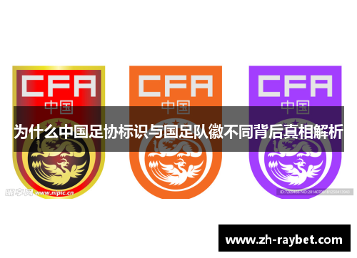 为什么中国足协标识与国足队徽不同背后真相解析